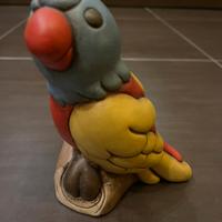 Pappagallo Thun Pablo