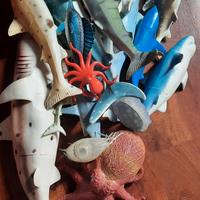 animali marini e dinosauri