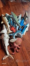 animali marini e dinosauri