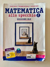 Matematica allo specchio 2