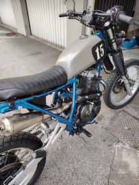 Scrambler Suzuki DR650