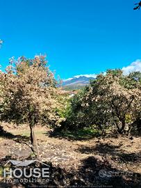 Ragalna - terreno agricolo id: ra105t