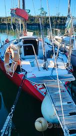 Barca a vela-natante- alla boa-regata/crociera