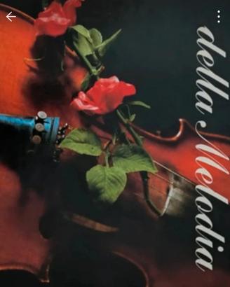 raccolta di 8 dischi grandi 