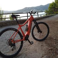 Mountain Bike a pedalata assistita