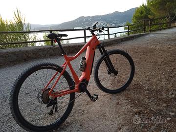 Mountain Bike a pedalata assistita