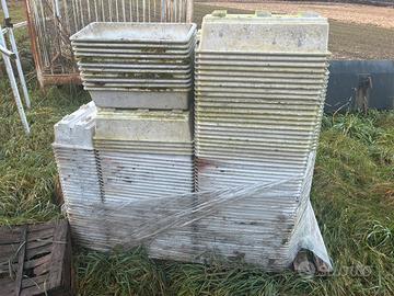 Vaschette x piccoli frutti