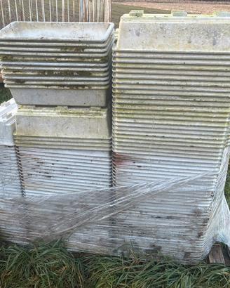 Vaschette x piccoli frutti