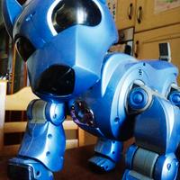 I-cybie cane robot a intelligenza artificiale