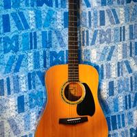 🎸 Ibanez PF10 Made in Korea 1989 – Dreadnought Vi