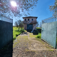 Terreno di 21000 mila metri