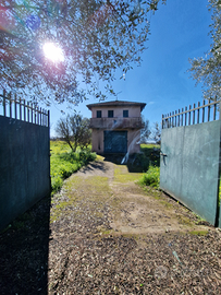 Terreno di 21000 mila metri