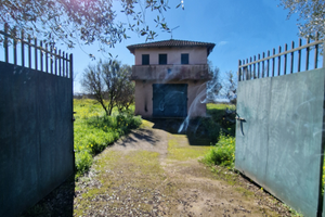 Terreno di 21000 mila metri