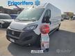 Ducato l3h2 isotermico frigo 2022