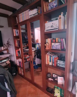 mobile libreria 