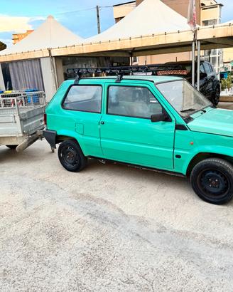 Fiat Panda 1100 i.e. cat Young