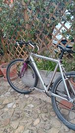 mountain bike con telaio STP e sospensioni 26