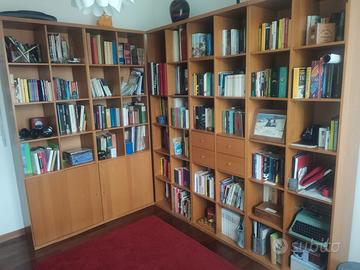 Libreria Ikea serie Billy