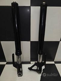 steli  harley davidson sportster rh1250 2022