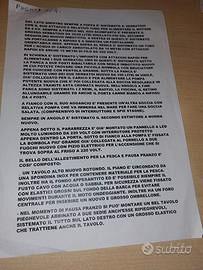 Pilotina barca motore