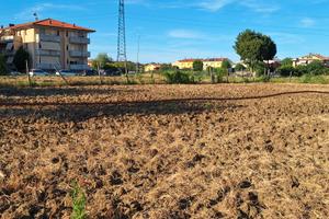 Terreno agricolo