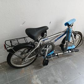 bicicletta pieghevole 