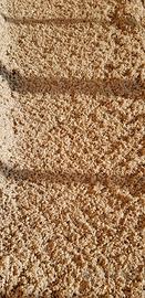 Sabbia Carribe Sea per acquario marino