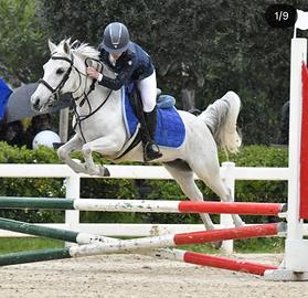 Pony/Cavallo