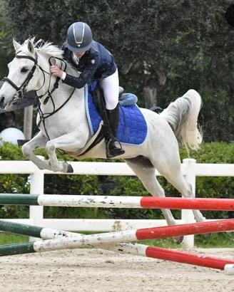 Pony/Cavallo