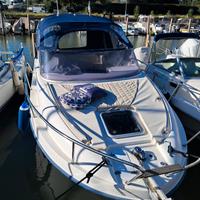 Saver 650 cabin sport