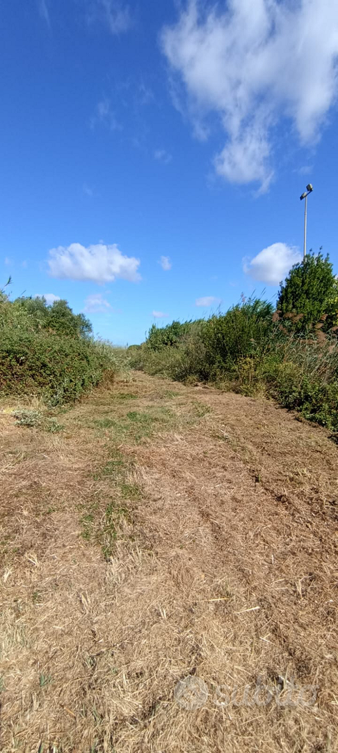 Terreno agricolo - Vista 4