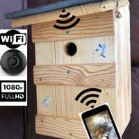 Casetta per uccelli con telecamera Wi-Fi HD