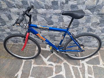 Mountain bike, Atlanta