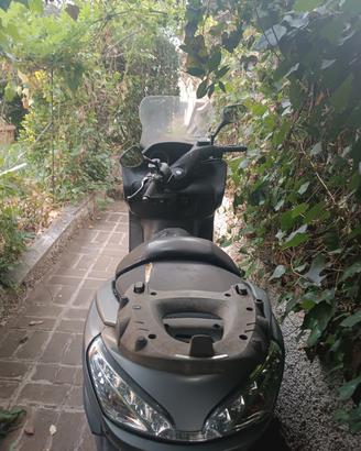 majesty 400