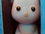 Immagine 4