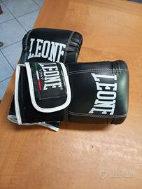 Guantoni sacco boxe