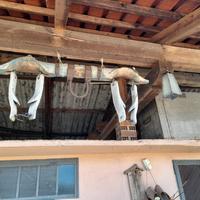 vecchi oggetti agricoli 