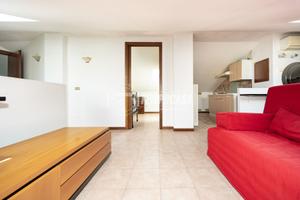 BILOCALE IDEALE PER INVESTIMENTO- LIBERO SUBITO!!