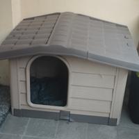 cuccia da giardino per cani 