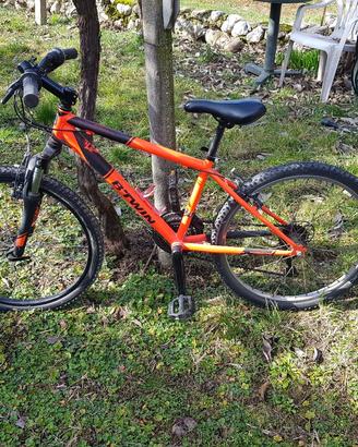 bici mtb 24 pollici