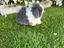 Immagine 3