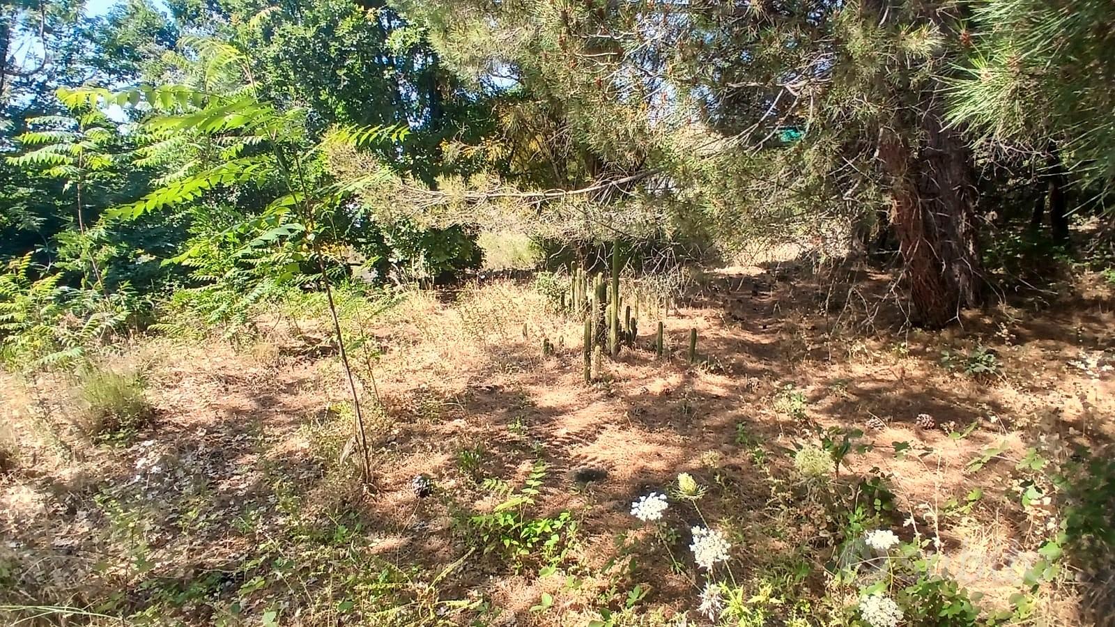 Terreno edificabile a nicolosi - Vista 3