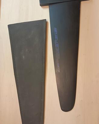 pinna windsurf 