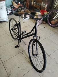 bici da passeggio 