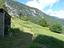 Immagine 20
