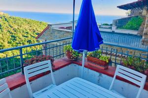 ACCIAROLI estate - Cannicchio