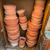 Vasi di terracotta