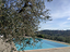 Immagine 8
