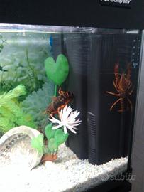 acquario da 120 litri della PET Company 