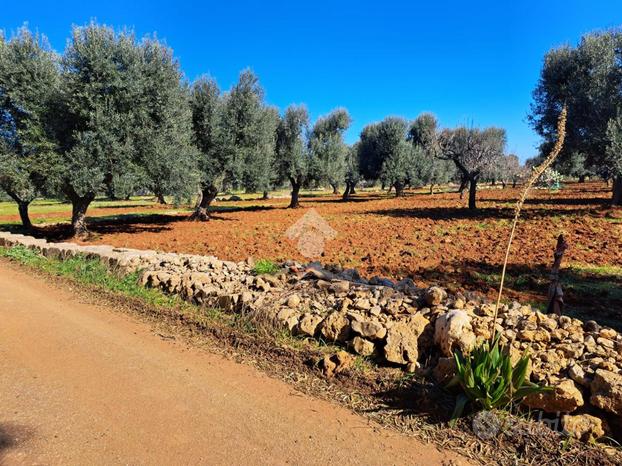 TER. AGRICOLO A CAROVIGNO